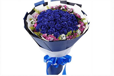 蓝色的花有哪些及花名图片,蓝色的花有哪些及花名图片白沙湖购物中心在哪里