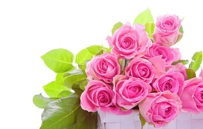 如何用纸折玫瑰花,如何用纸折玫瑰花复杂又漂亮
