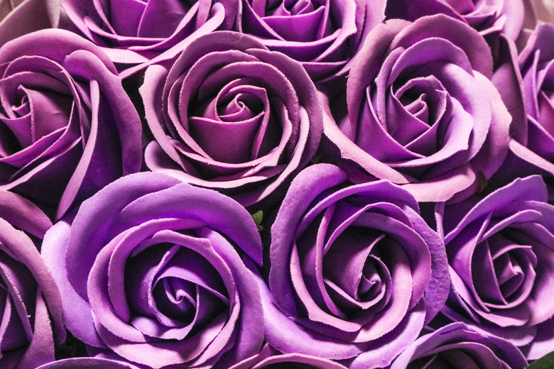 男人送紫色玫瑰代表什么意思,男人送紫色玫瑰代表什么意思呢